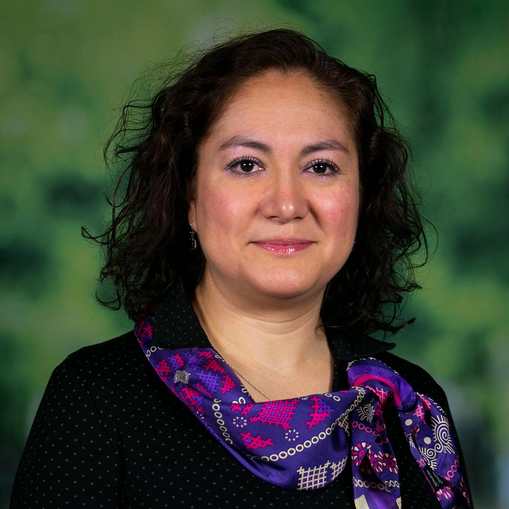 Dra. Joaquina Niembro García (UP)